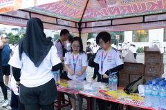 261A4666